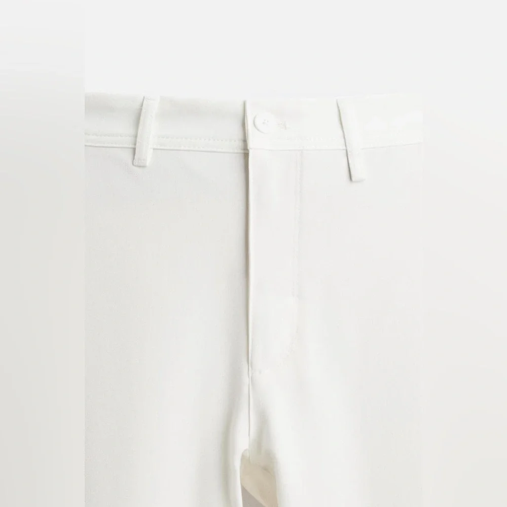 Zara great pants
